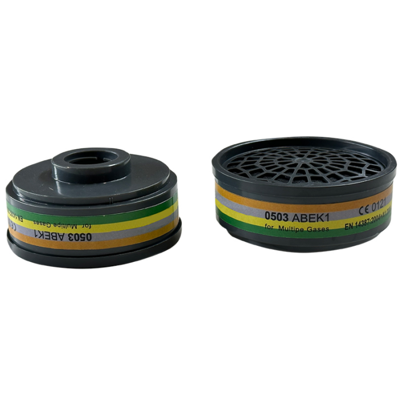 BORMANN Pro BPP2466-2 ΦΙΛΤΡΟ ΜΑΣΚΑΣ ΑΕΡΙΩΝ & ΑΤΜΩΝ ΑΒΕΚ1
